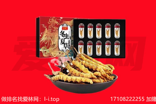 黄石西塞山区回收虫草.jpg